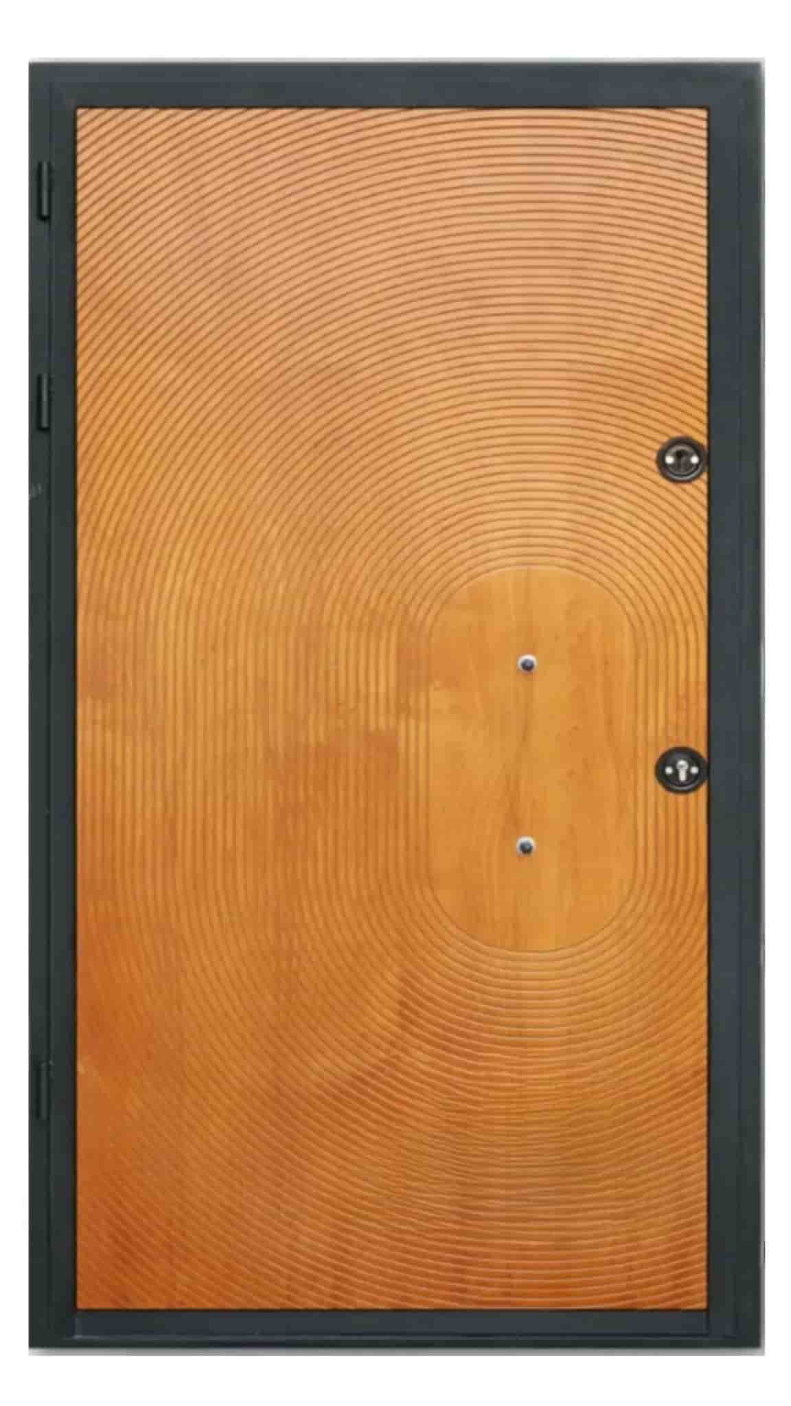 Anti-theft entrance door model Avin Yaraq Turk with modern and anti-skid design